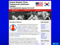 Wisdom TKD website homepage